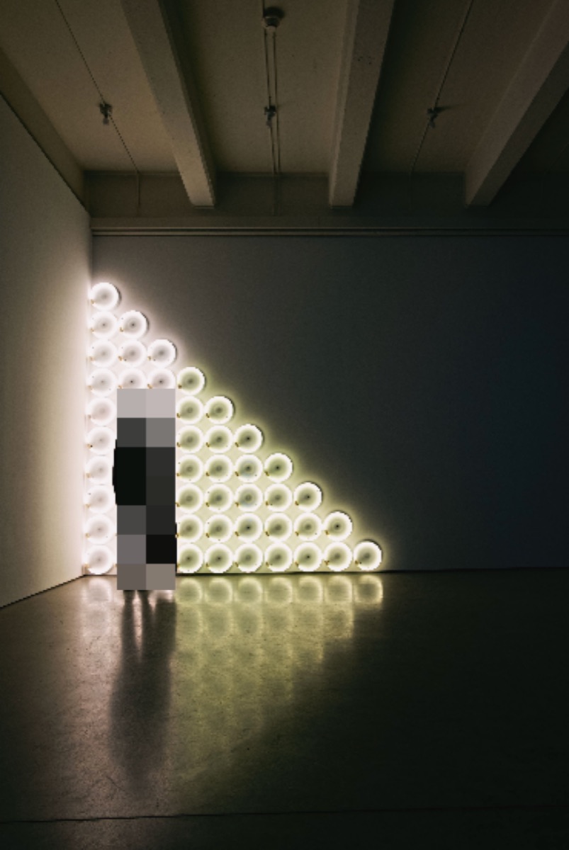 Anna Zhang's Uncommon Objects interactive art installation